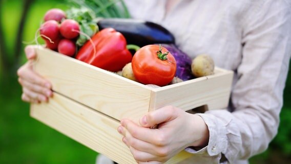 Eine Person hält eine mit Gemüse gefüllte Holzkiste. © Colourbox 