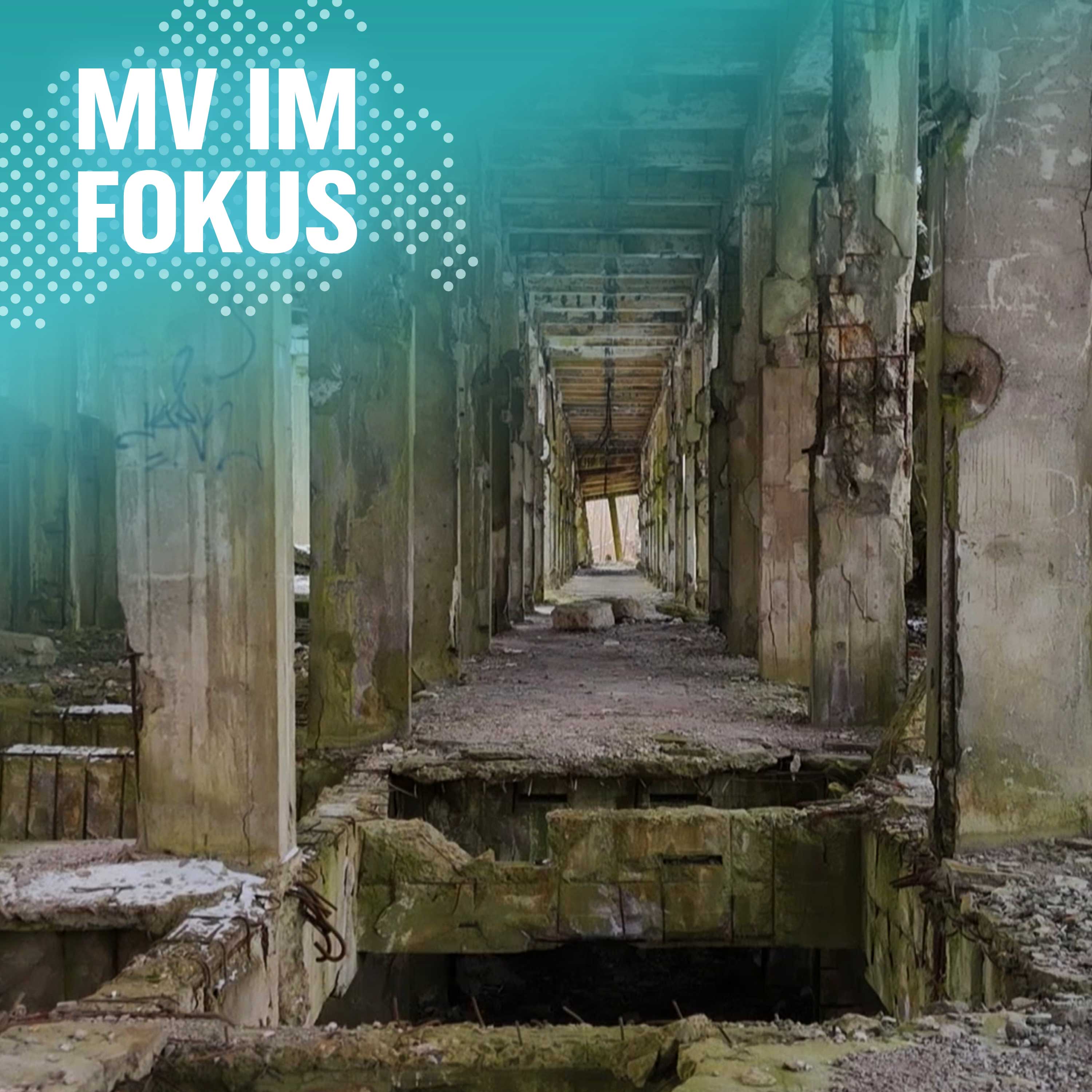 MV IM FOKUS – Darüber spricht Mecklenburg-Vorpommern!