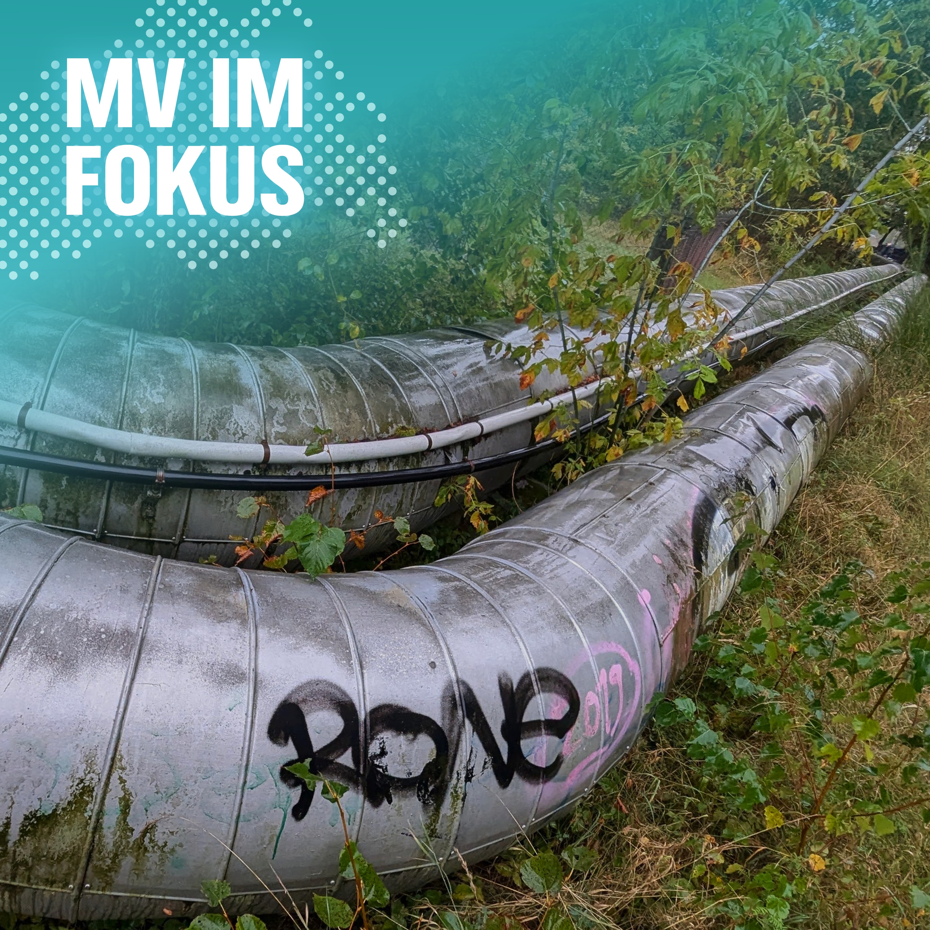 MV IM FOKUS – Darüber spricht Mecklenburg-Vorpommern!