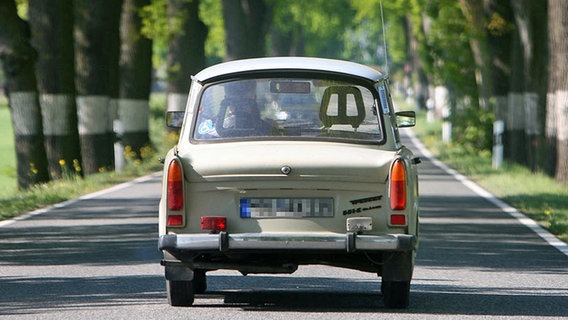 Ein Auto der Marke Trabant fährt auf einer Allee. © picture-alliance/ ZB Foto: Patrick Pleul