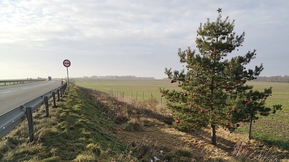 Ein geschmückter Baum steht dicht an einer Bundesstraße © NDR Foto: Stefan Pinnow