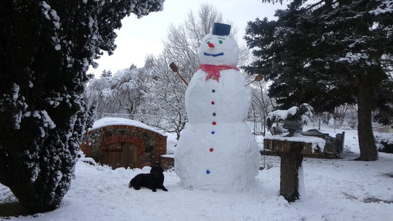 großer Schneemann steht in einem Garten © NDR Foto: Uwe Wascher aus Letzin
