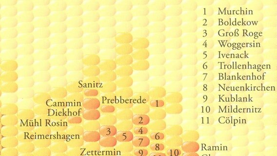 Auschnitt der Karte "Genmais" vom Buch "Deutschlandkarte" von Matthias Stolz. © ZEITmagazin, Grafik Ole Häntzschel Foto: Grafik Ole Häntzschel