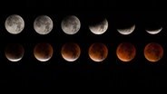 Georg Meyer aus Reddevitz hat die totale Mondfinsternis in einer Serienaufnahme fotografiert.  