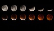Georg Meyer aus Reddevitz hat die totale Mondfinsternis in einer Serienaufnahme fotografiert.  