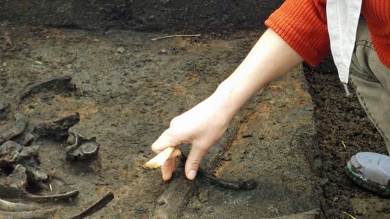 Die Hand von Dr. Gundula Lidke, mit der sie Knochen ausgräbt © NDR Foto: Dörte Rochow