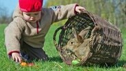 Ein Kleinkind sammelt Ostereier auf einer Wiese, daneben sitzt ein Kaninchen in einem Korb. © dpa Foto: Patrick Pleul