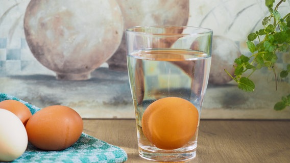 Ein Ei in einem Wasserglas steht neben drei Eiern, die auf einem Tuch liegen. © NDR Foto: Anja Deuble
