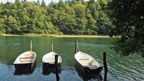 Drei Boote liegen an einem Bootssteg am Garrensee. © NDR Foto: Anja Deuble