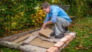 Peter Rasch legt Pappe in einen Rahmen aus Steinen und Holz. © NDR Foto: Udo Tanske