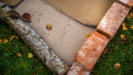Pappe in einem Rahmen aus Steinen und Holz. © NDR Foto: Udo Tanske