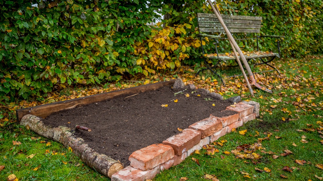 Beet anlegen leicht gemacht NDR.de Ratgeber Garten Zierpflanzen