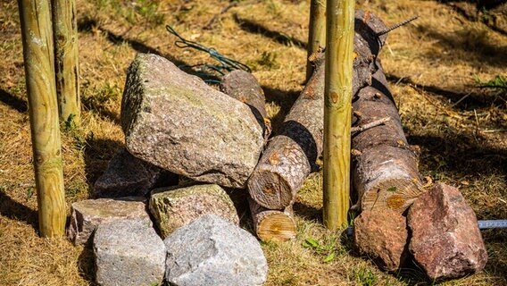 Große Steine und Äste liegen auf dem Boden in einer Benjeshecke © NDR Foto: Udo Tanske