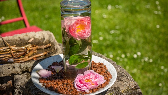 Eine Bienentränke mit Blätton und Wasserglas © NDR Foto: Udo Tanske