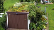 Dachbegrünung auf einer Garage © imago images / Margit Brettmann 