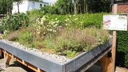 Beispielbepflanzung für die Begrünung eines Daches im Botanischen Sondergarten in Hamburg. © NDR Foto: Irene Altenmüller