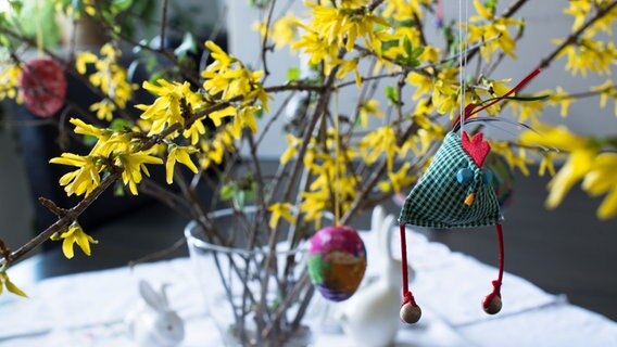 Blühende Forsythienzweige in einer Vase mit Osterdeko © Colourbox Foto: franky242