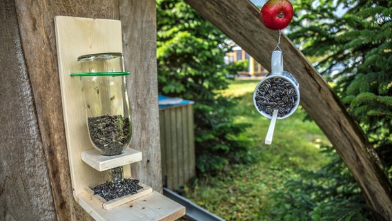 Futterstationen für Vögel hängen an einem Schuppen und an einem Baum. © NDR Foto: Udo Tanske