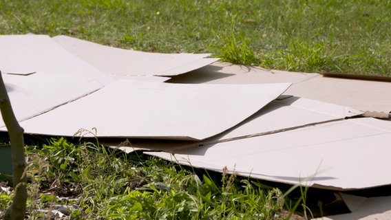 Pappen liegen auf dem Bereich im Rasen, aus dem ein Beet werden soll. © NDR 