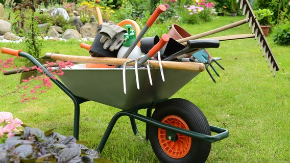 Garden tools lie in a wheelbarrow in the garden.  © fotolia Photo: K.-U.  Hassler