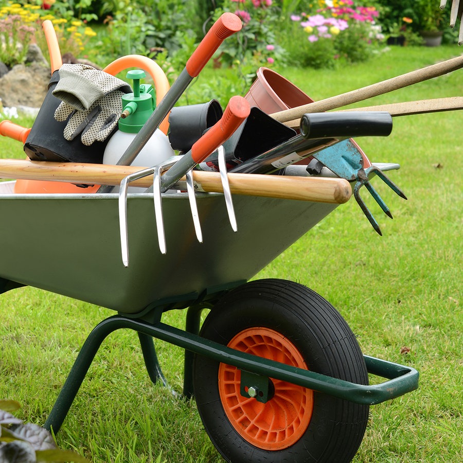 Garten Umgraben Gerät : Gartenwerkzeuge Mit Dem Sauzahn Den Boden Gut