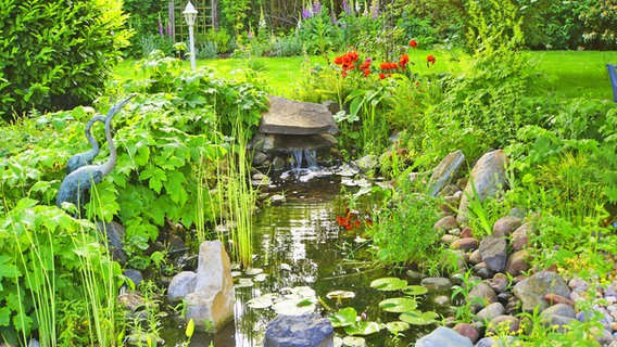 Ein Gartenteich mit vielen Pflanzen sowie dekorativen Steinen. © imago/blickwinkel 