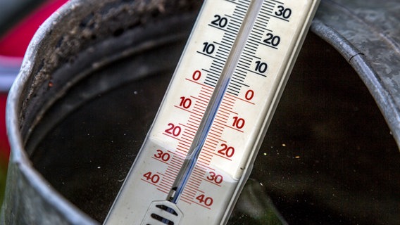 Ein Thermometer in einer Gießkanne © NDR Foto: Udo Tanske
