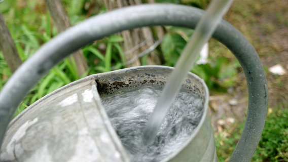 Eine Gießkanne wird mit Wasser gefüllt. © NDR Foto: Udo Tanske
