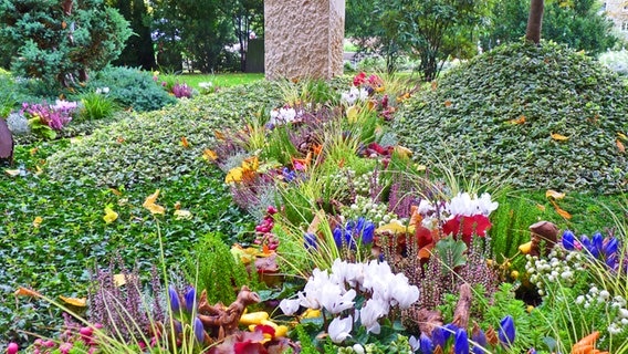 Mit bunten Blumen und Bodendeckern bepflanztes Grab © NDR Foto: Kathrin Weber