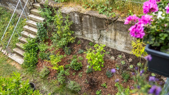 Neue Bepflanzung an einem Hang mit Steintreppe. © NDR Foto: Udo Tanske