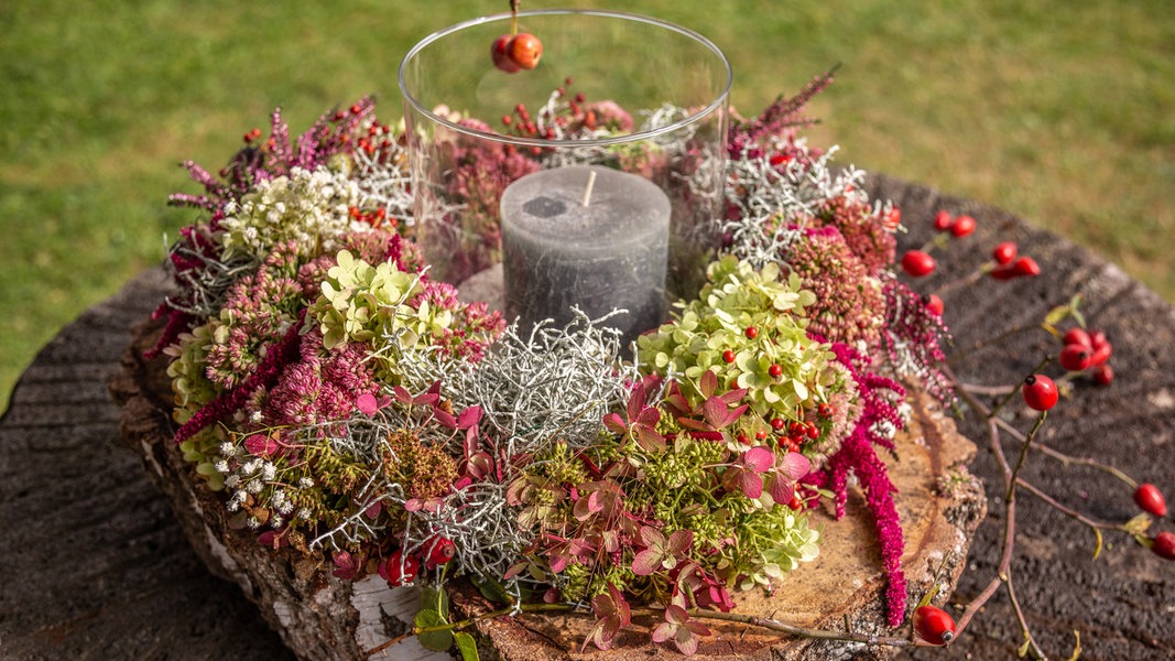 Naturliche Herbstdeko Aus Dem Eigenen Garten Ndr De Ratgeber