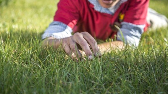 Peter Rasch liegt im Gras. © NDR 
