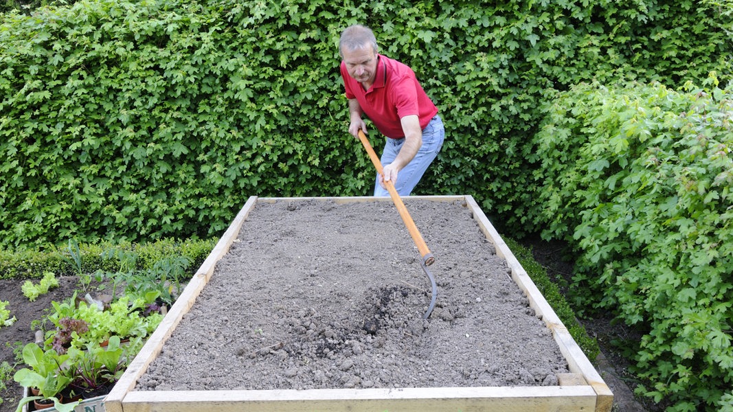 Hochbeet Im Herbst Neu Befullen Und Dungen Ndr De Ratgeber