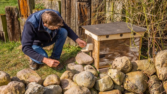 Ein Gärtner untersucht die spezielle Klappe an einem Hummelhaus. © NDR Foto: Udo Tanske