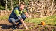 Ein Mann hockt im Garten und hält eine Jungpflanze in der Hand. © NDR Foto: Udo Tanske