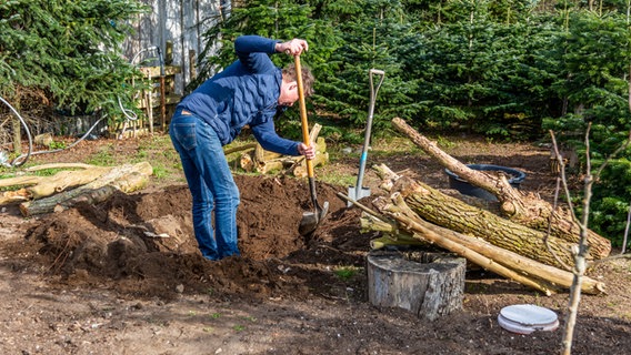 Peter Rasch gräbt ein großes Loch im Garten aus © NDR Foto: Udo Tanske