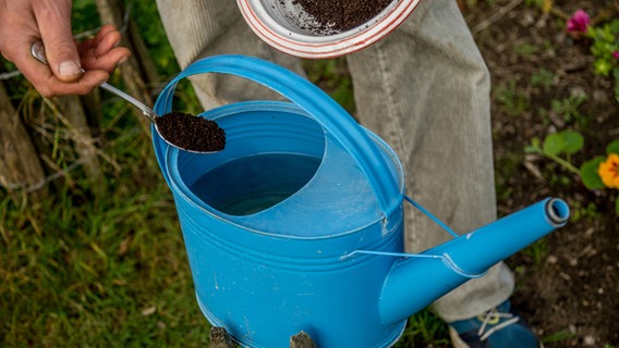Eine Hand gibt Kaffeesatz in eine blaue Gießkanne. © ndr.de Foto: Udo Tanske