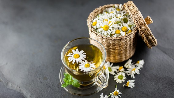 A cup of chamomile tea and a basket of fresh chamomile flowers.  © Colourbox Photo: -