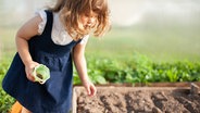 Ein kleines Mädchen steht vor einem Hochbeet und streut dort Samen aus. © colourbox Foto: Alinsa