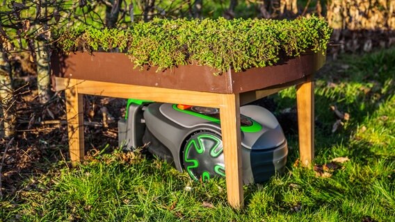 Mähroboter steht unter einem selbstgebauten Unterstand mit begrüntem Dach © NDR Foto: Udo Tanske