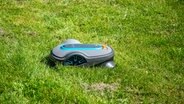 Ein Mähroboter steht auf einem Rasen © NDR Foto: Udo Tanske