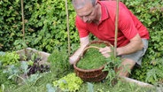 Ein Mann mulcht ein Gemüse-Hochbeet mit Rasenschnitt © picture alliance / Arco Images GmbH Foto: Diez, O.