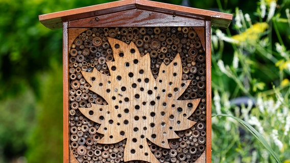 Kleines Wildbienenhotel © IMAGO/imageBROKER/Justus de Cuveland 