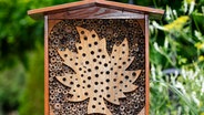 Kleines Wildbienenhotel © IMAGO/imageBROKER/Justus de Cuveland 