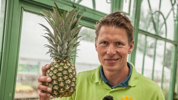 Peter Rasch hält eine Ananas. © NDR Foto: Udo Tanske
