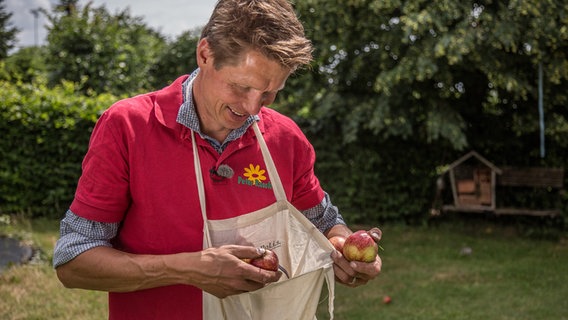 Peter Rasch erntet Äpfel und sammelt sie in einem umgehängten Stoffbeutel © NDR Foto: Udo Tanske