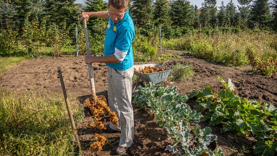 Fallobst Und Trester Als Dunger Im Garten Verwenden Ndr De Ratgeber Garten Nutzpflanzen