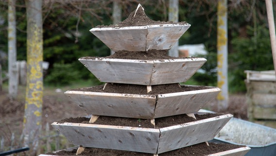 Eine Erdbeerpyramide mit mehreren mit Erde gefüllten Rahmen © NDR Foto: Udo Tanske