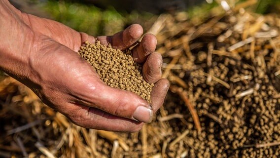 Eine Hand hält braune Düngekörner. © NDR Foto: Udo Tanske