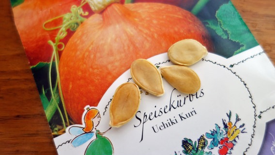 Kürbissamen auf einer Saatguttüte. Kürbissamen auf einer Saatguttüte. © NDR Foto: Kathrin Weber